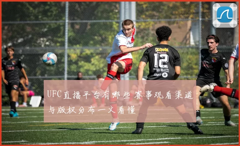 UFC直播平台有哪些 赛事观看渠道与版权分布一文看懂