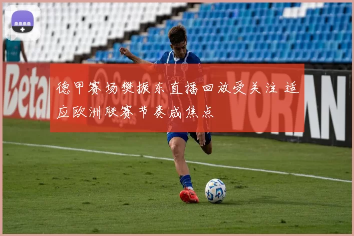 德甲赛场樊振东直播回放受关注 适应欧洲联赛节奏成焦点