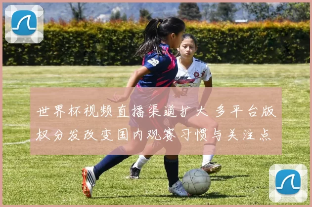 世界杯视频直播渠道扩大 多平台版权分发改变国内观赛习惯与关注点