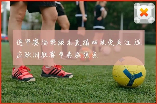 德甲赛场樊振东直播回放受关注 适应欧洲联赛节奏成焦点