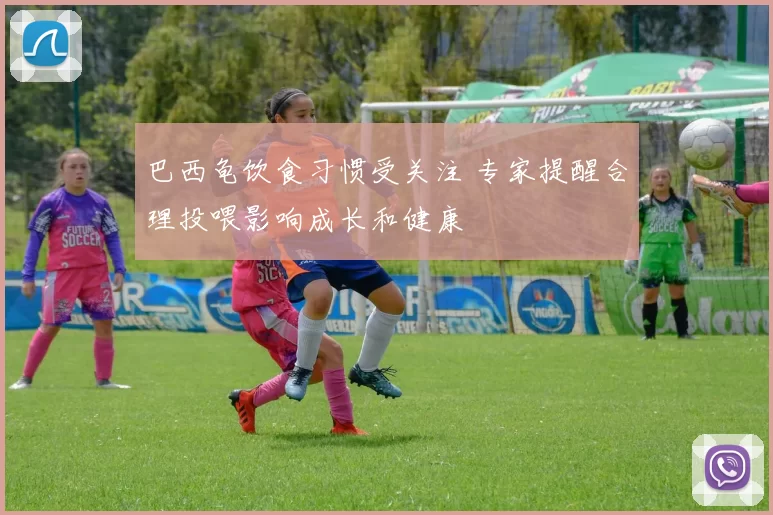 巴西龟饮食习惯受关注 专家提醒合理投喂影响成长和健康