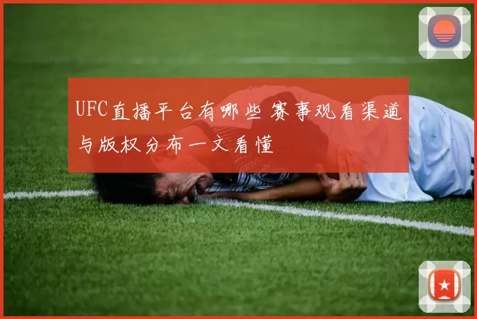 UFC直播平台有哪些 赛事观看渠道与版权分布一文看懂