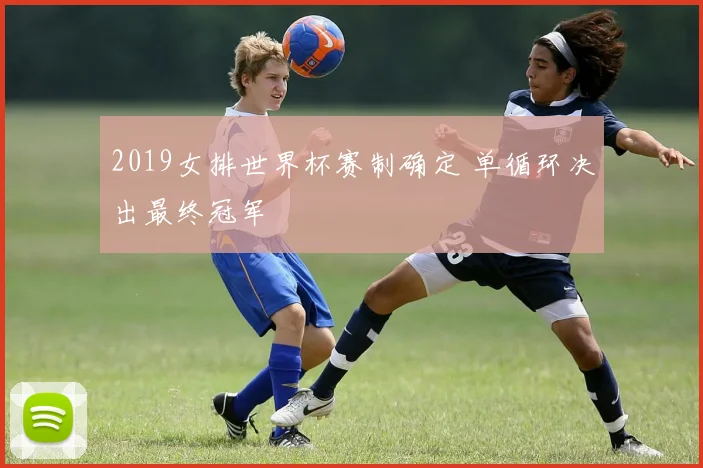2019女排世界杯赛制确定 单循环决出最终冠军