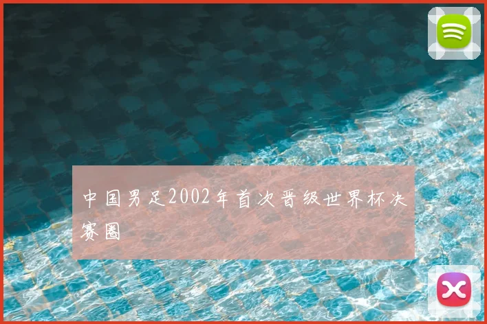 中国男足2002年首次晋级世界杯决赛圈