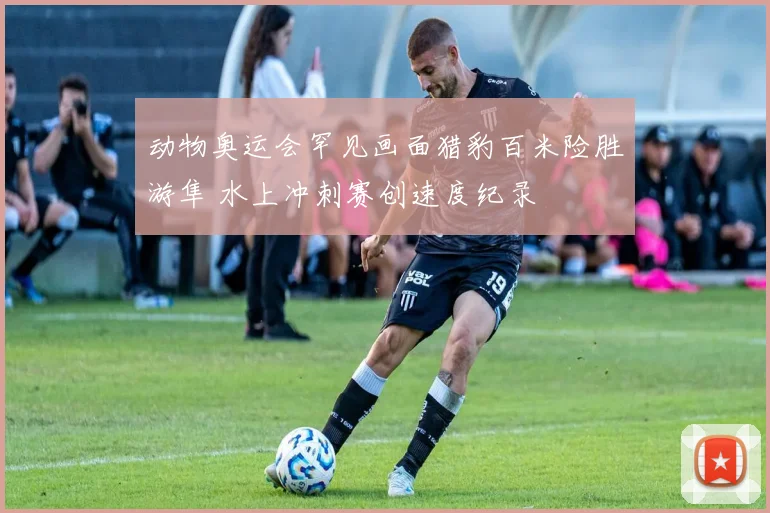 动物奥运会罕见画面猎豹百米险胜游隼 水上冲刺赛创速度纪录