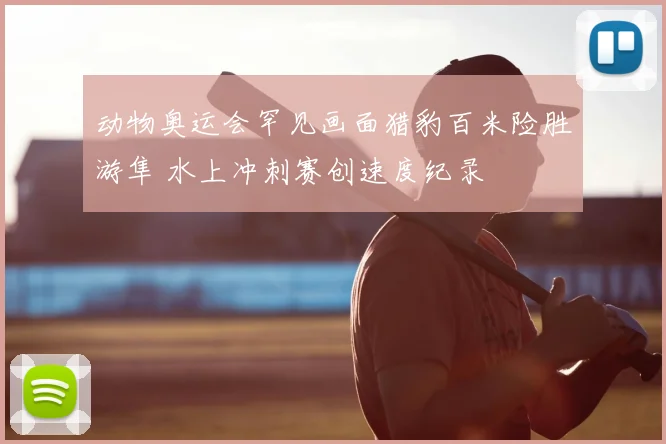 动物奥运会罕见画面猎豹百米险胜游隼 水上冲刺赛创速度纪录
