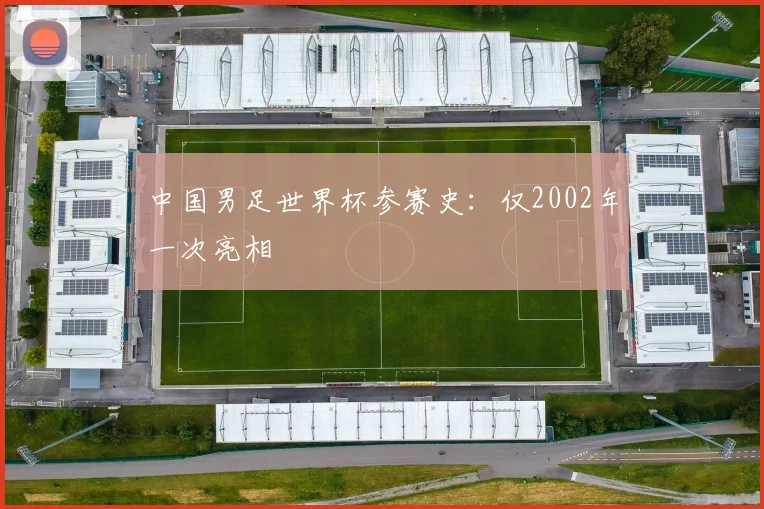 中国男足世界杯参赛史:仅2002年一次亮相