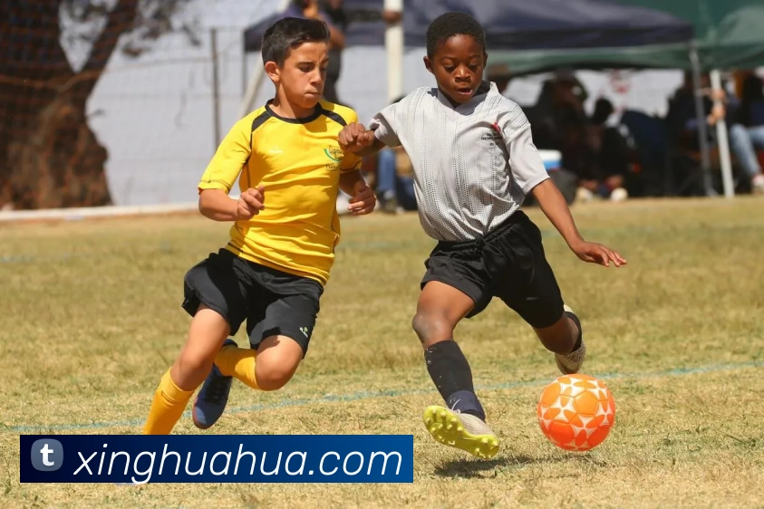 华体网 - 华体 | 专业体育健康品牌全站App